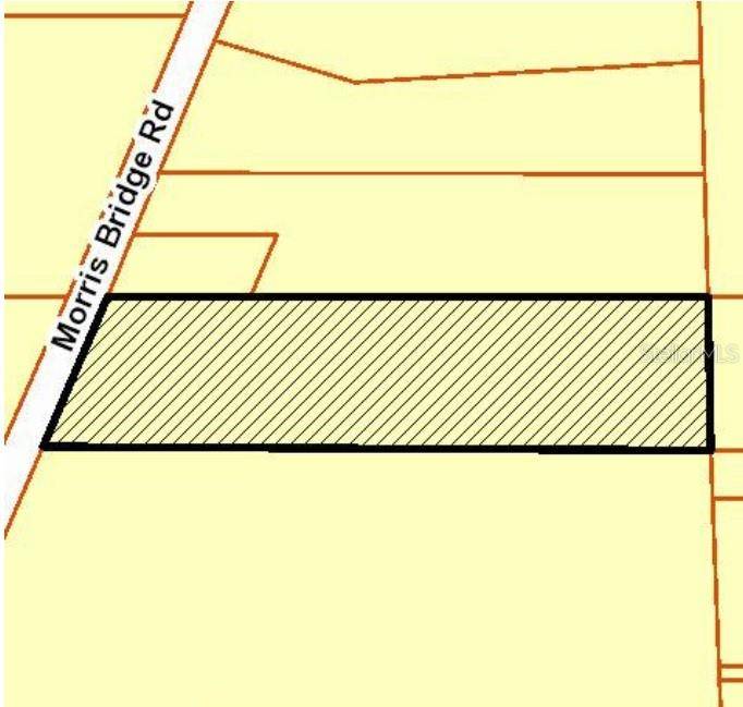 1 THONOTOSASSA, Thonotosassa, FL 33592