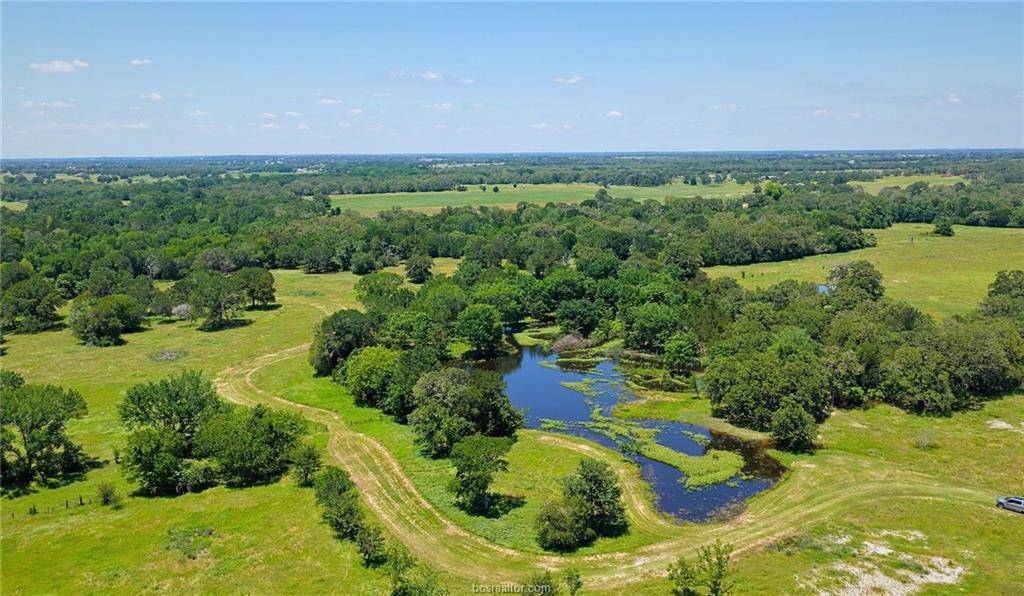 5380 County Road 132 (+/-81 acres), Somerville, TX 77879