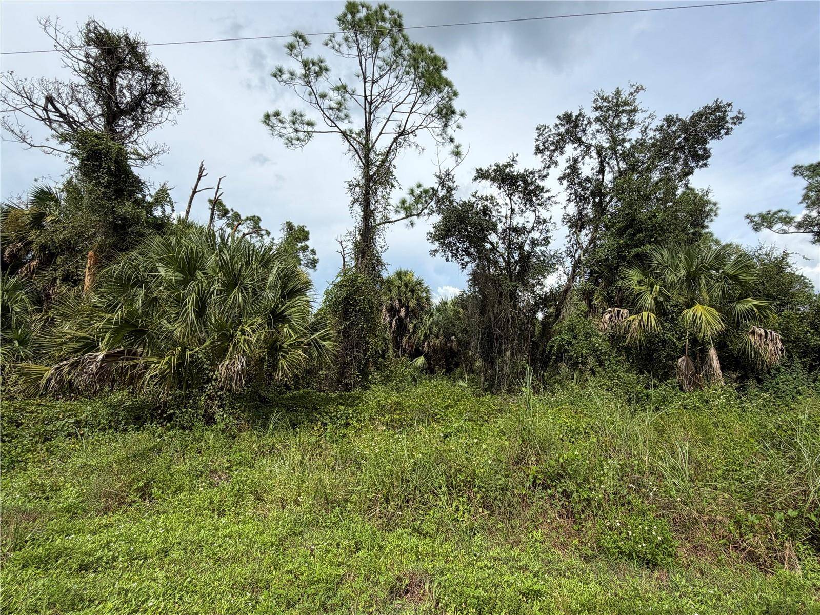 BARCELONA DR, North Port, FL 34288