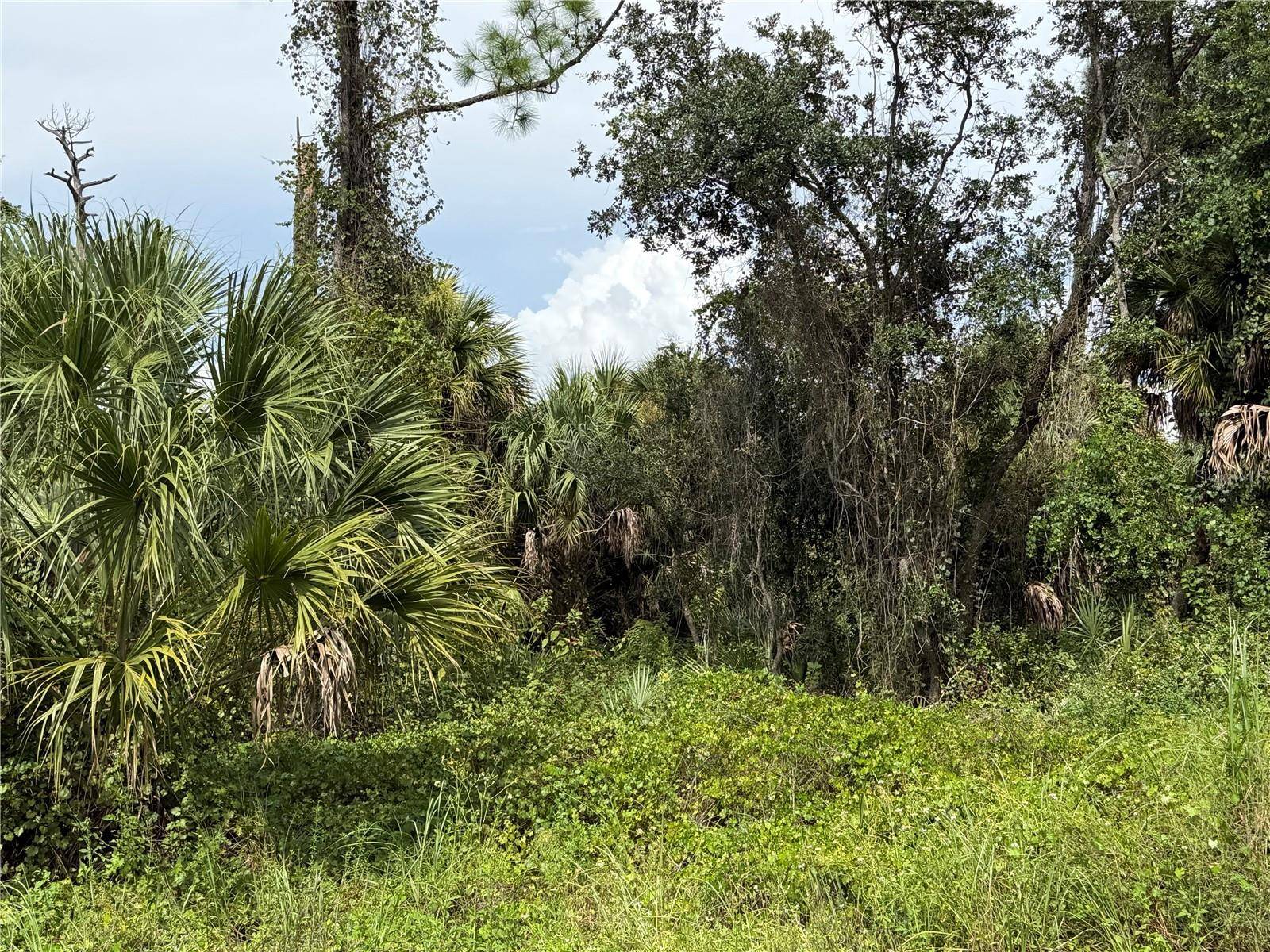 BARCELONA DR, North Port, FL 34288