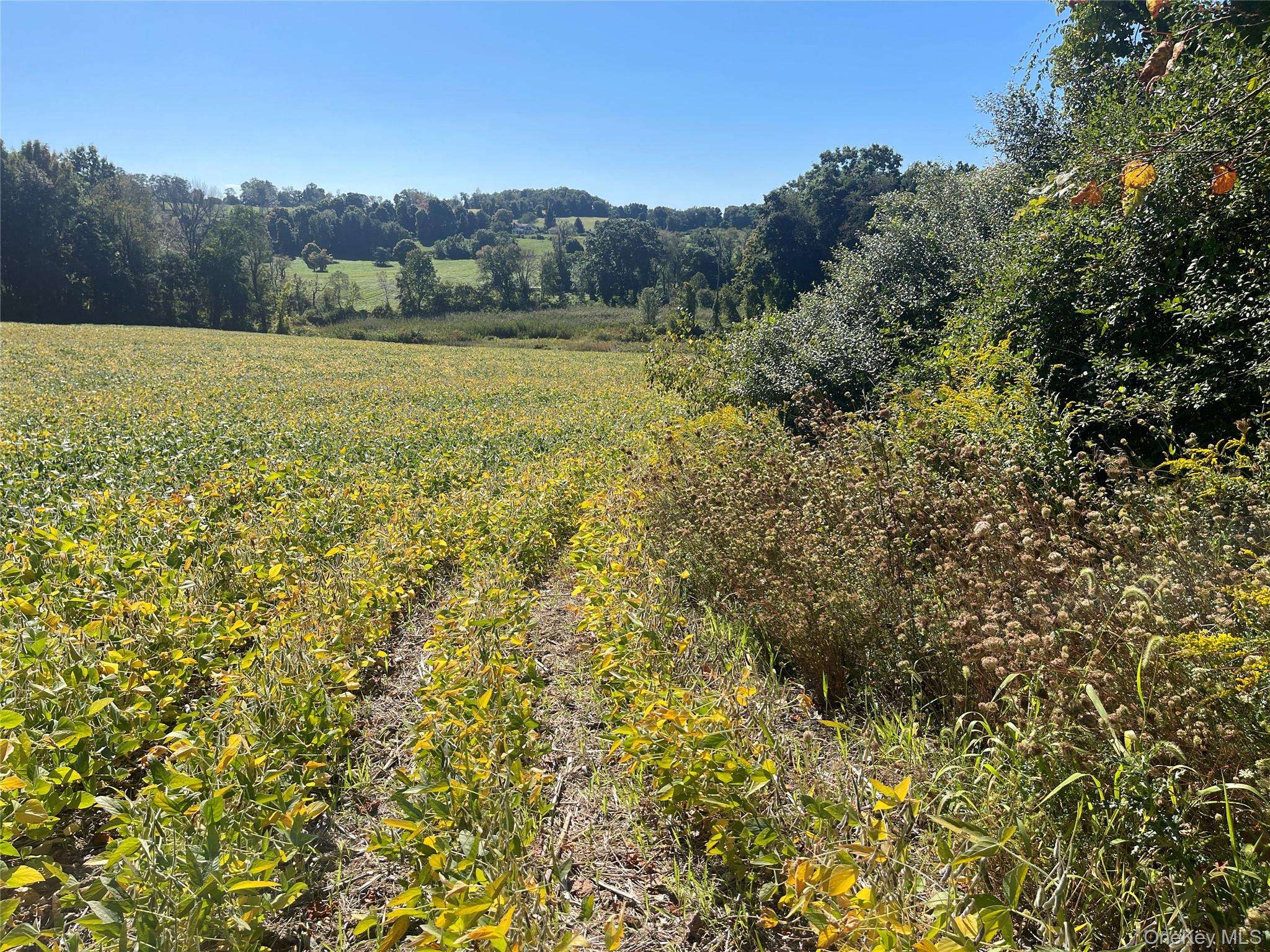 81-85 Fraleigh Hill RD, Millbrook, NY 12545