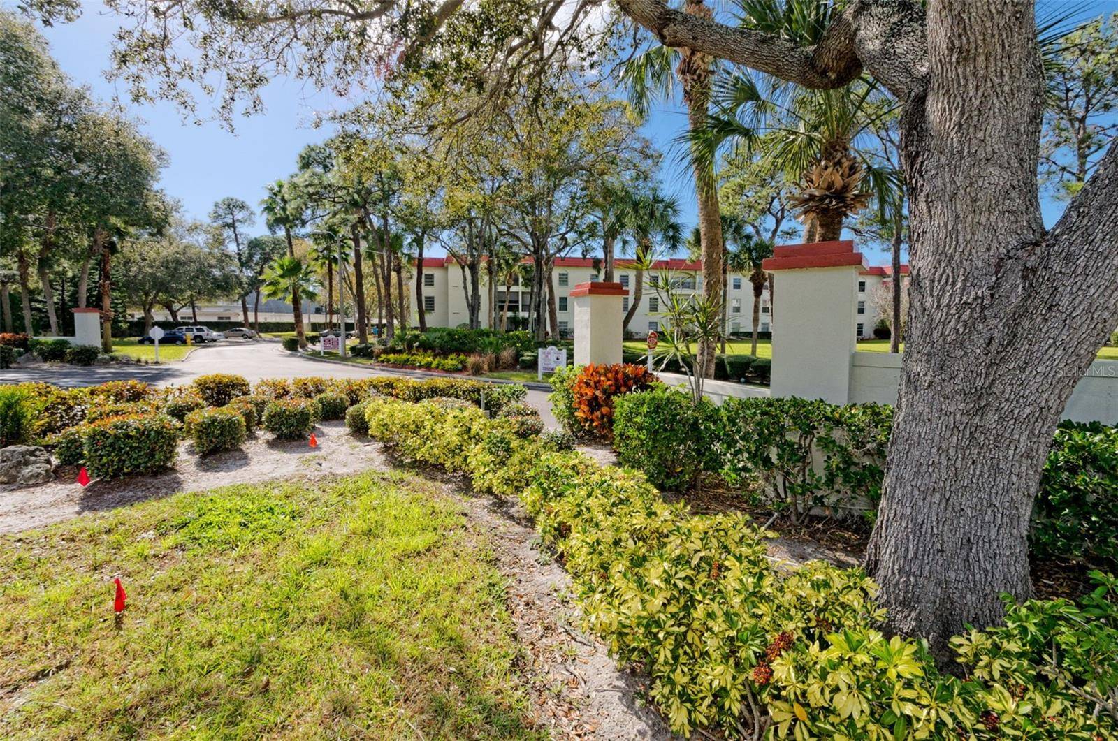 2700 BAYSHORE BLVD #2204, Dunedin, FL 34698