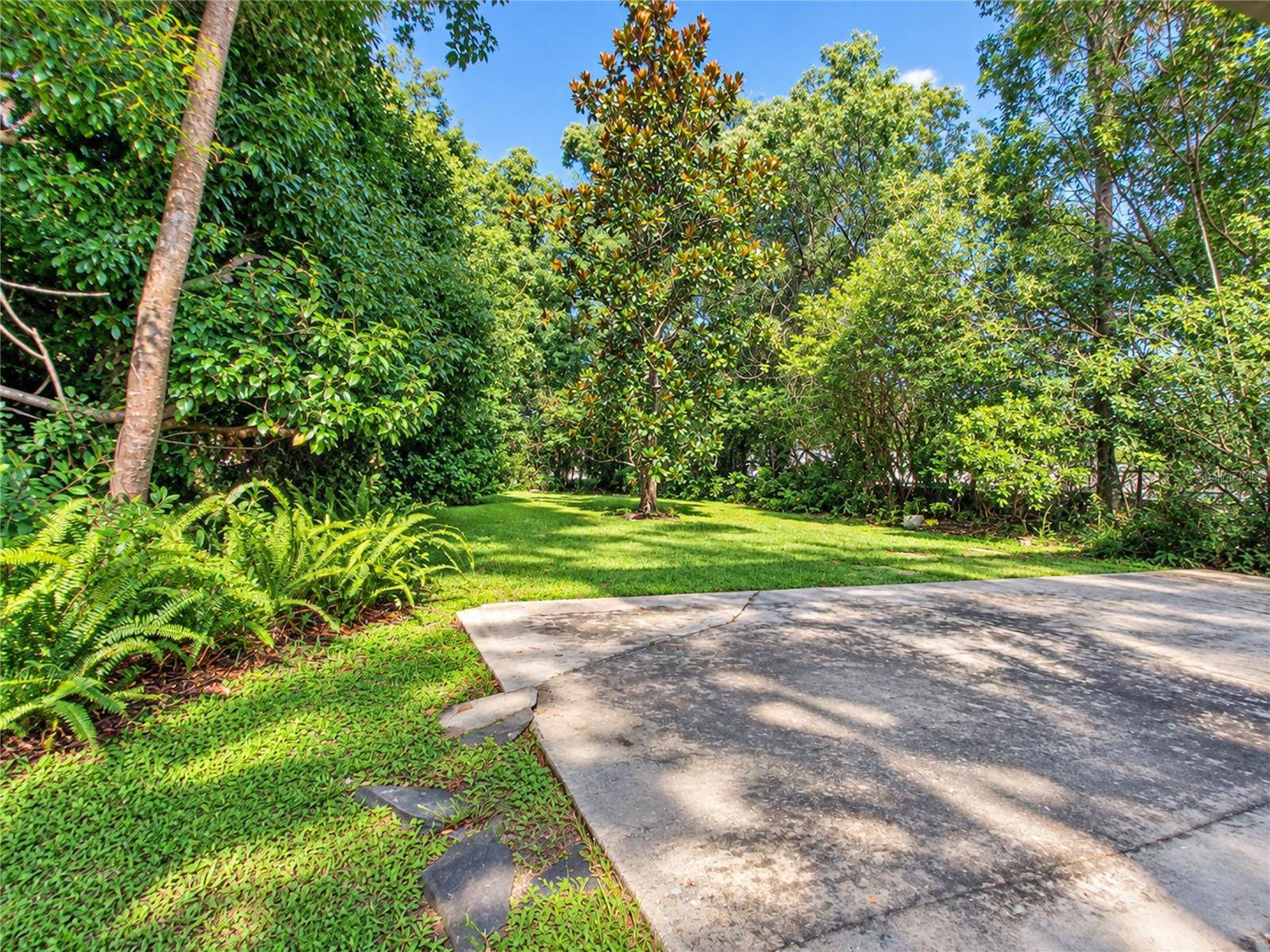 447 N PHELPS AVE, Winter Park, FL 32789