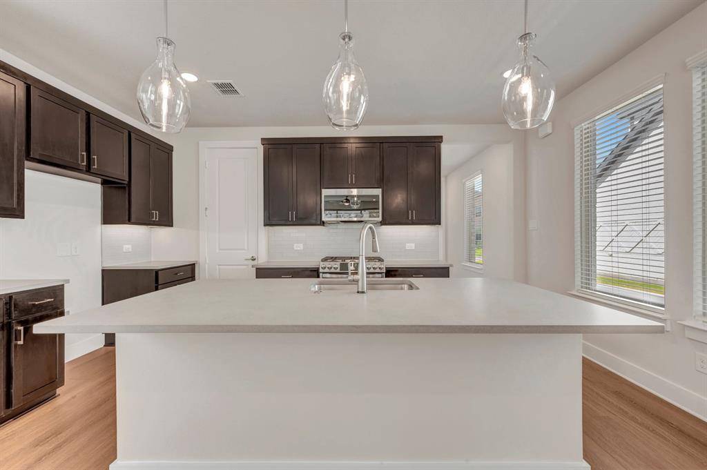 1113 Amaryllis Lane, Little Elm, TX 76227