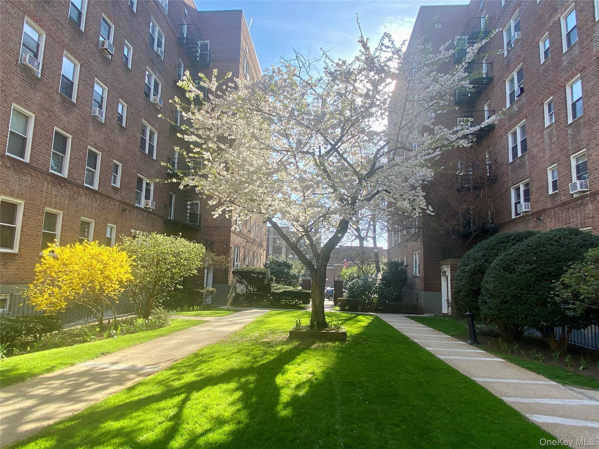 22 Mulford PL #5C, Hempstead, NY 11550