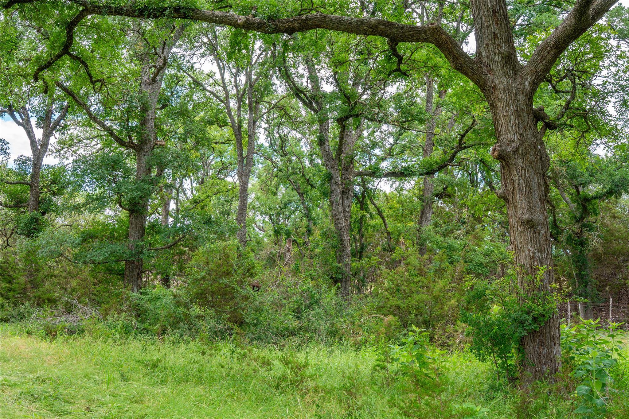 TBD CR108, Burnet, TX 78611