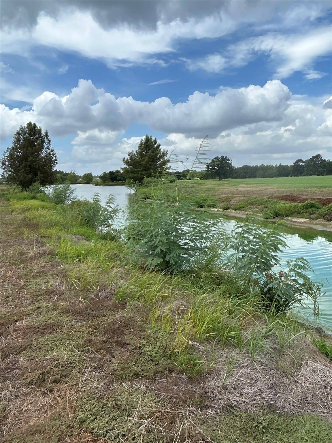 000 Old Potato RD, Paige, TX 78659