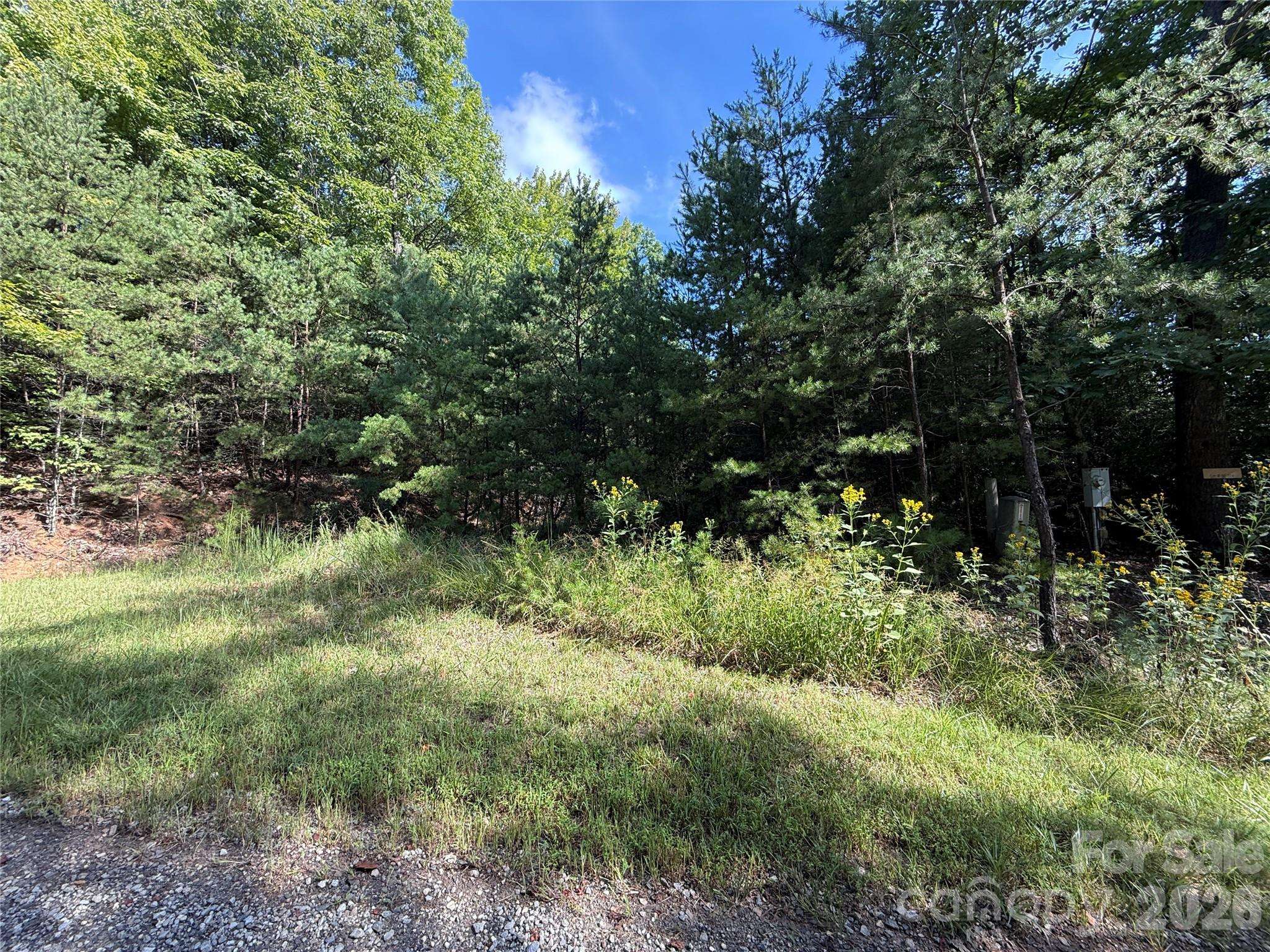 TBD Wolf Pen RD #24, Purlear, NC 28665