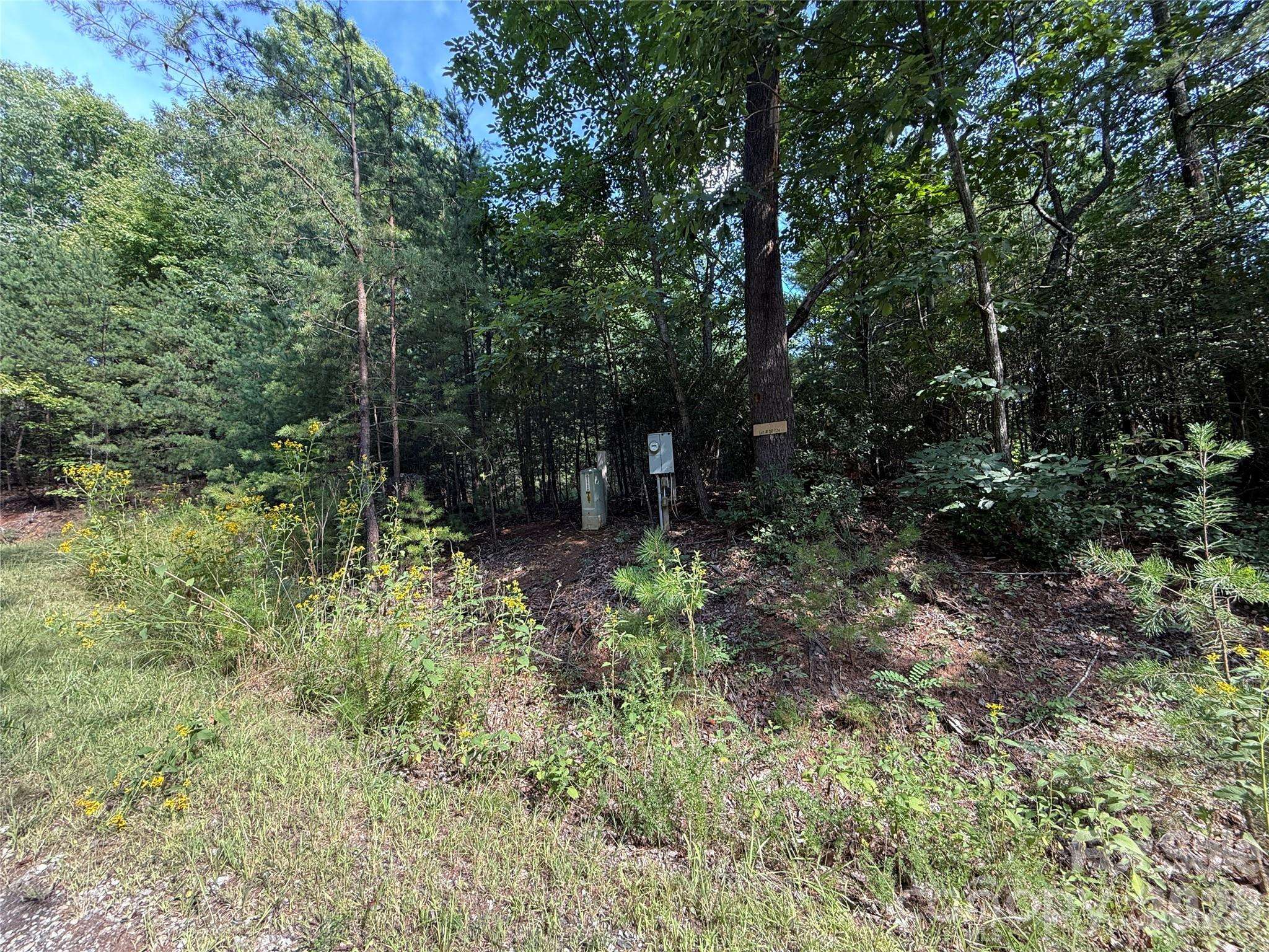 TBD Wolf Pen RD #24, Purlear, NC 28665