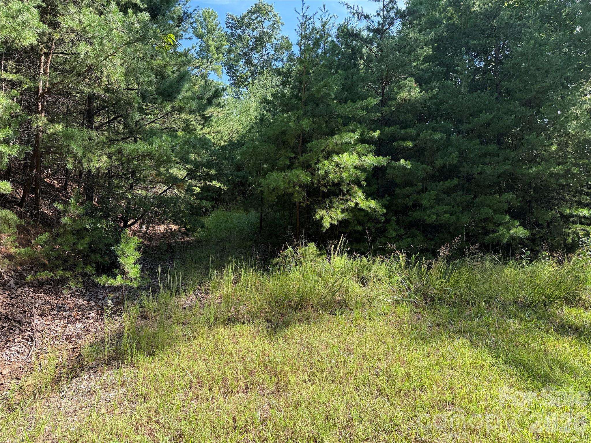 TBD Wolf Pen RD #24, Purlear, NC 28665