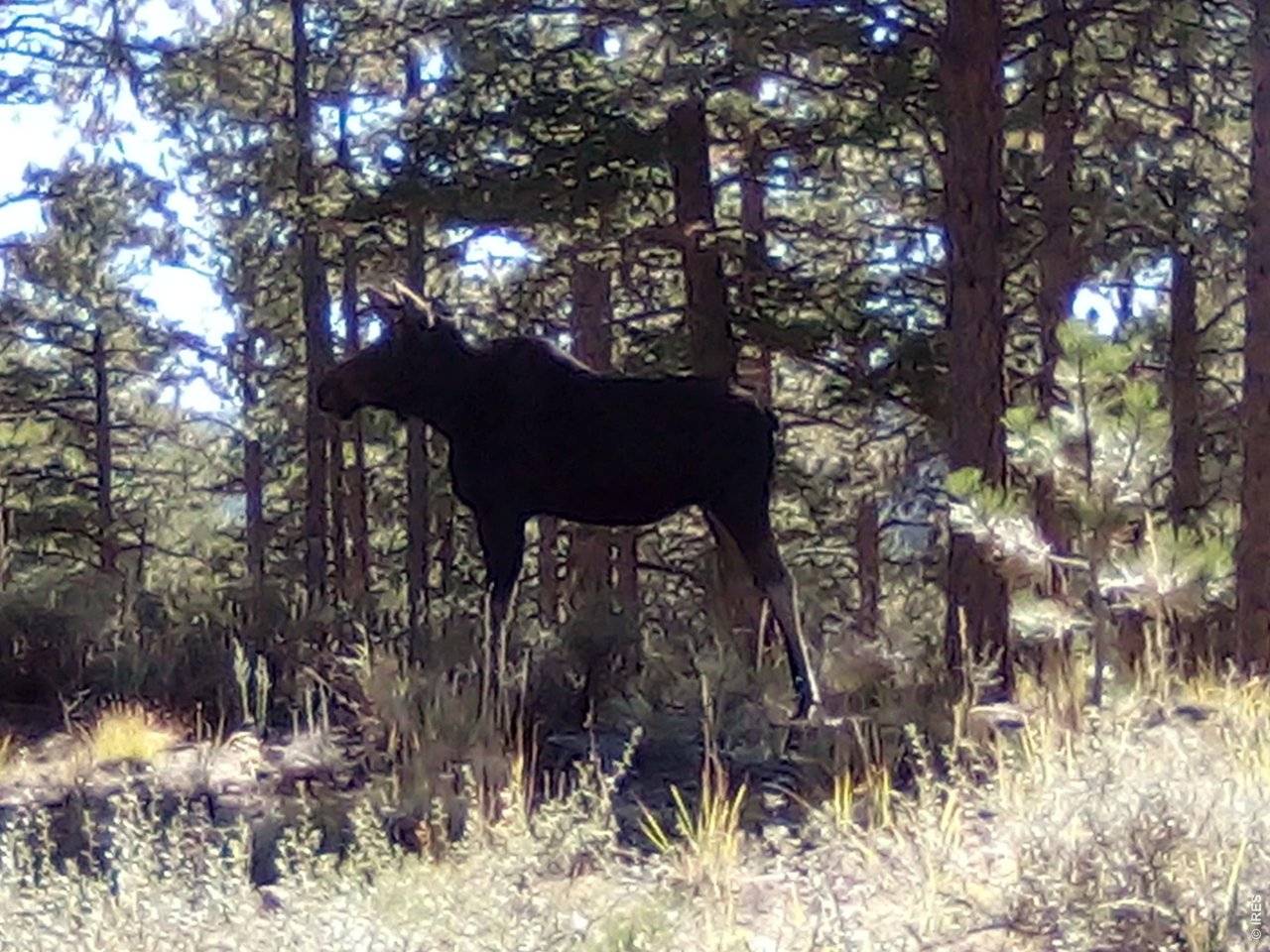 18677 State Highway 7, Lyons, CO 80540
