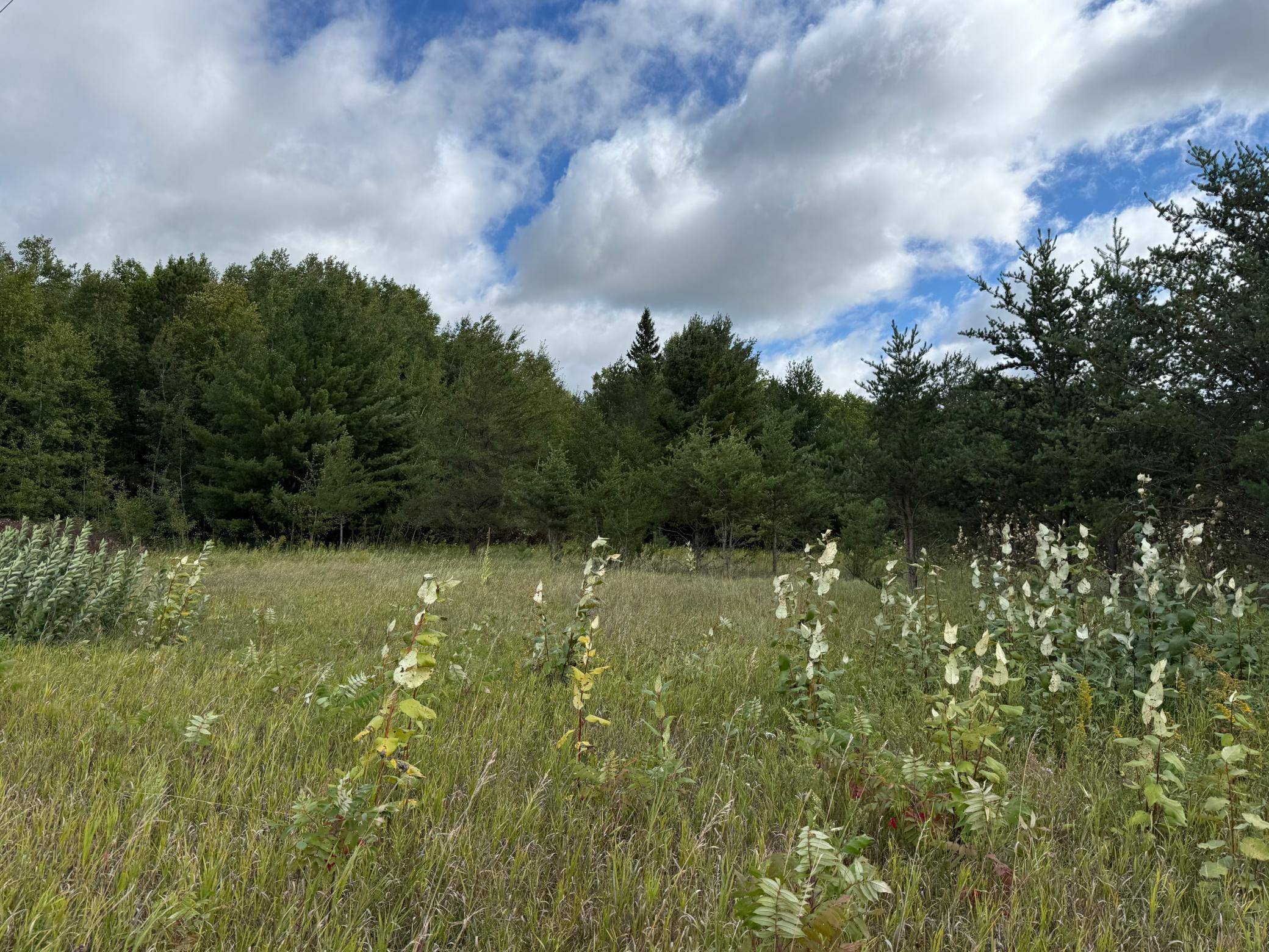 TBD 159th Ave, Bagley, MN 56621