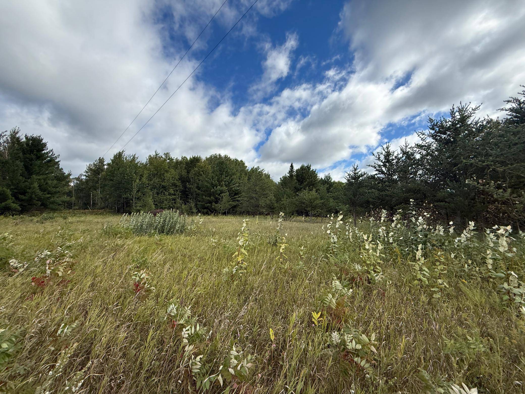 TBD 159th Ave, Bagley, MN 56621