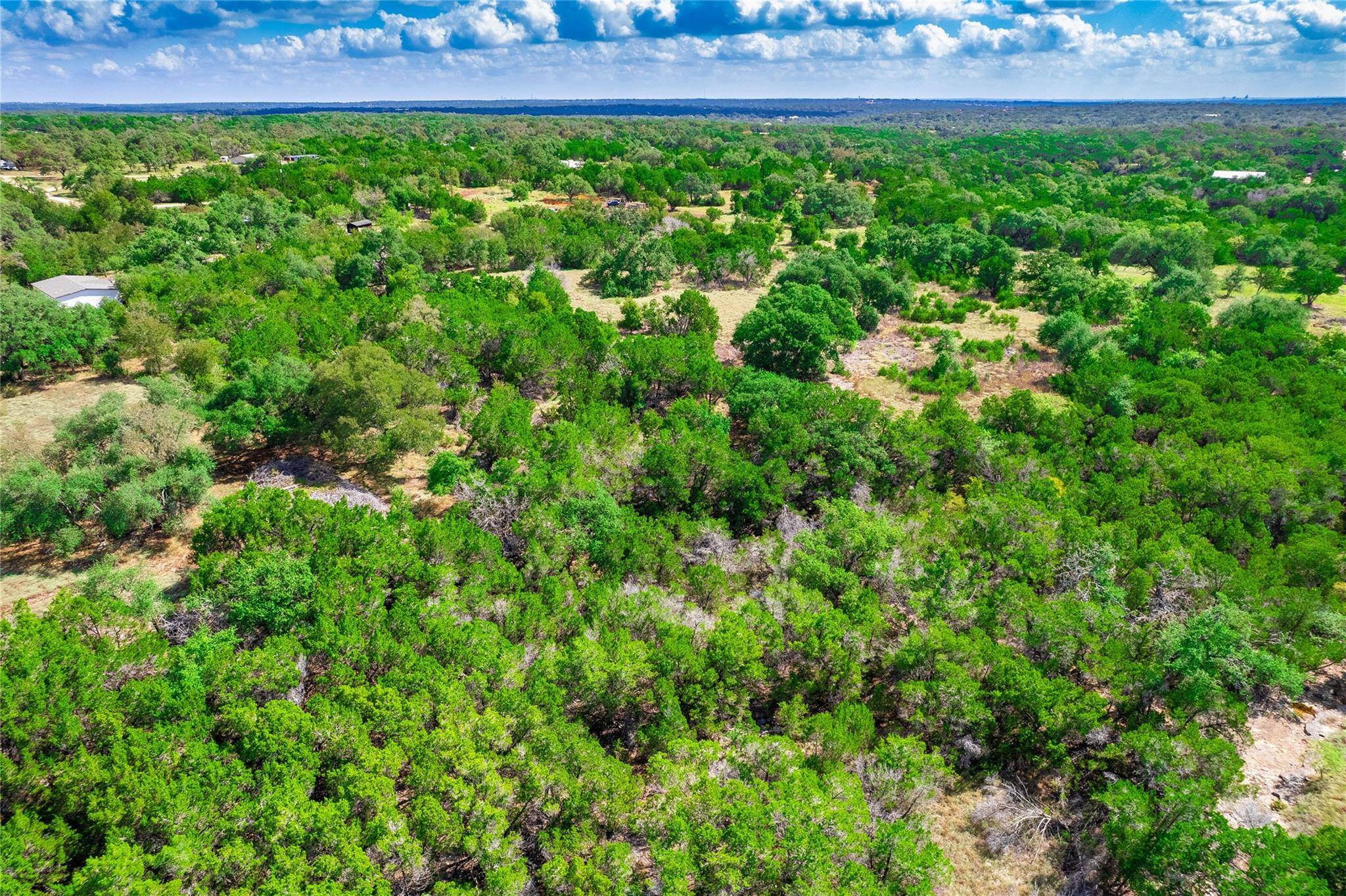 260 Billie Brooks LN, Driftwood, TX 78619