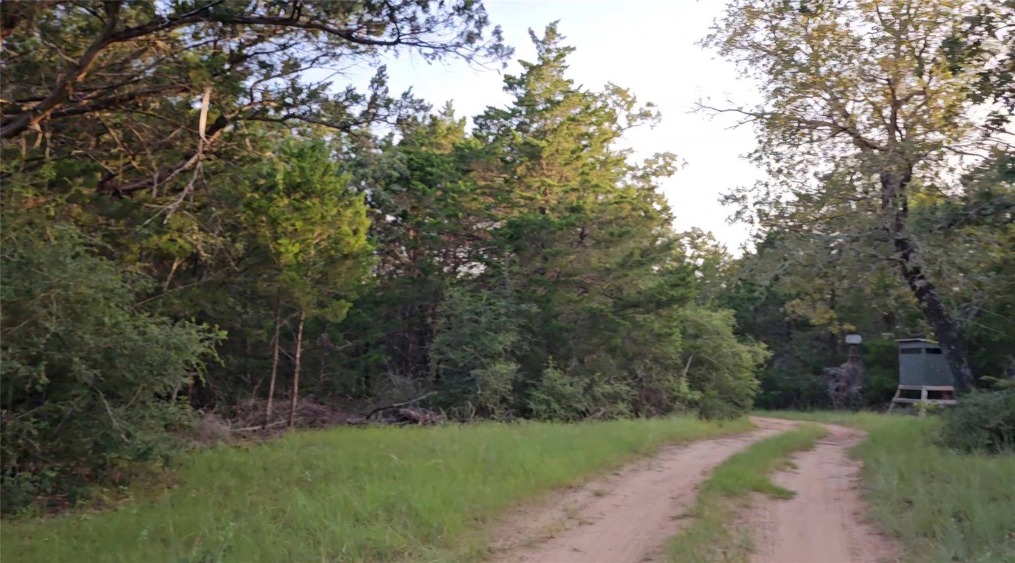 Ranch Land Easley RD, Smithville, TX 78957