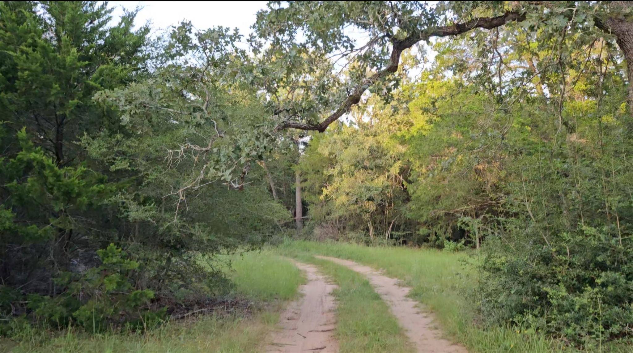 Ranch Land Easley RD, Smithville, TX 78957