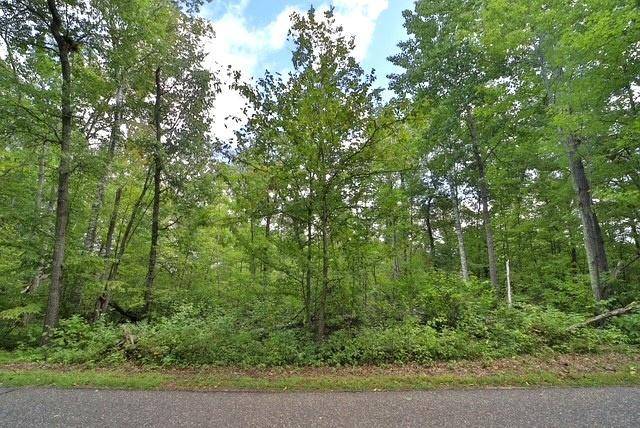 TBD Terminal Rd, Breezy Point, MN 56472