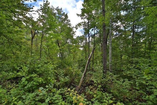 TBD Terminal Rd, Breezy Point, MN 56472