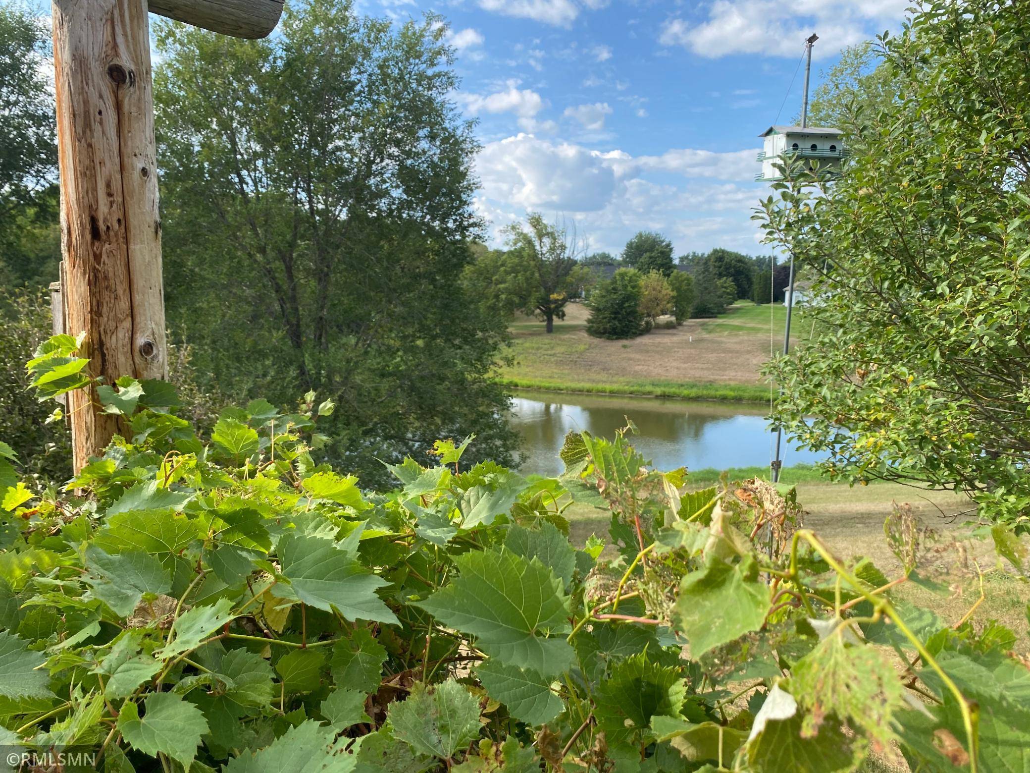 1008 Hidden Meadow LN, Lake City, MN 55041