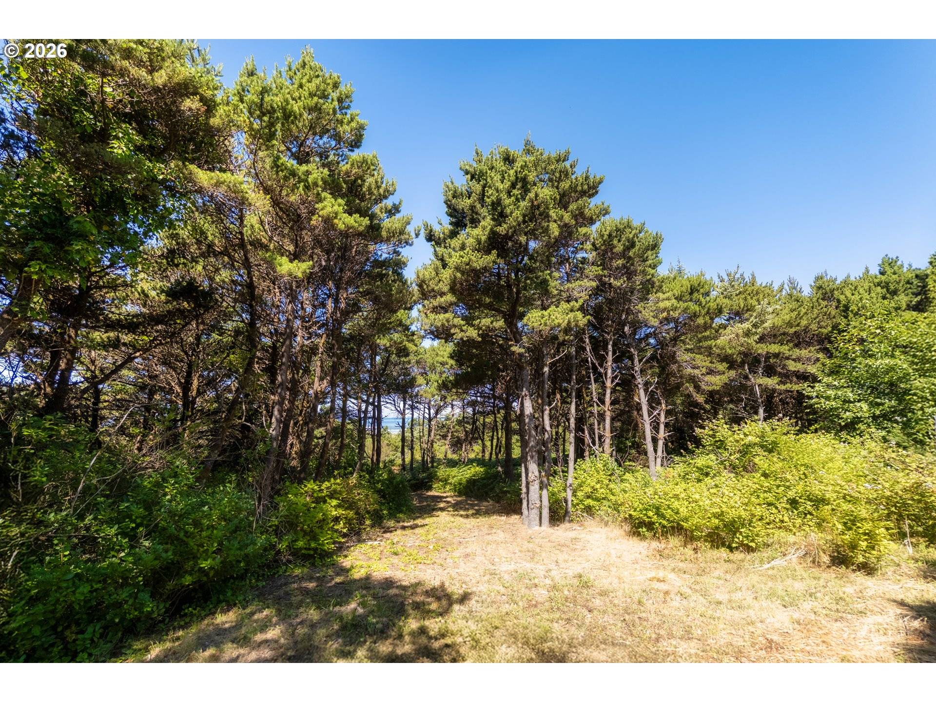 600 SW Pacific Coast Hwy, Waldport, OR 97394