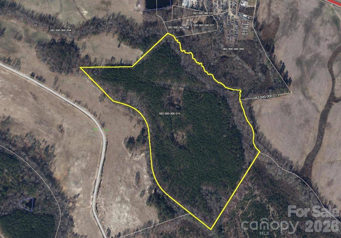 0000 Blair Hendrick RD, Mt Croghan, SC 29727