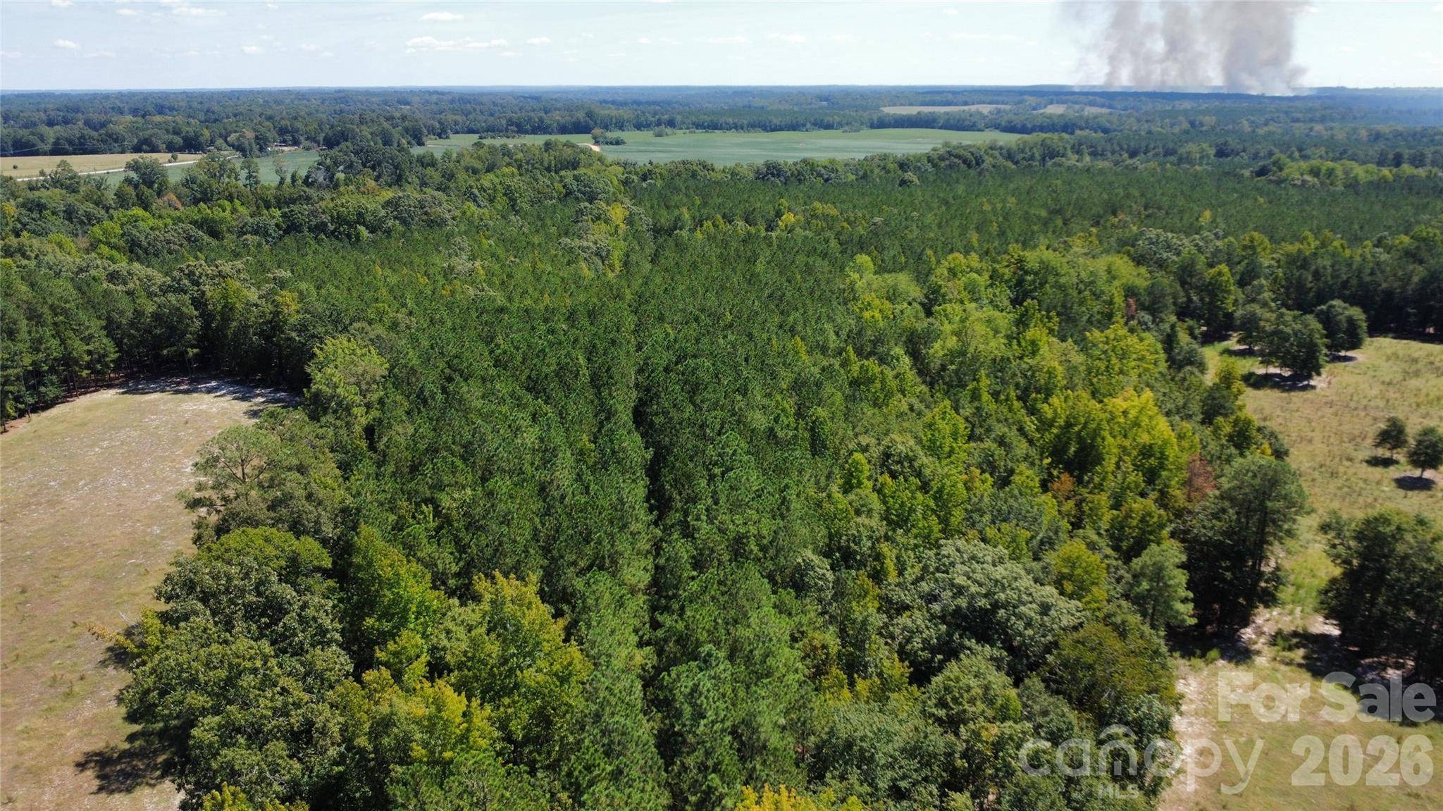 0000 Blair Hendrick RD, Mt Croghan, SC 29727
