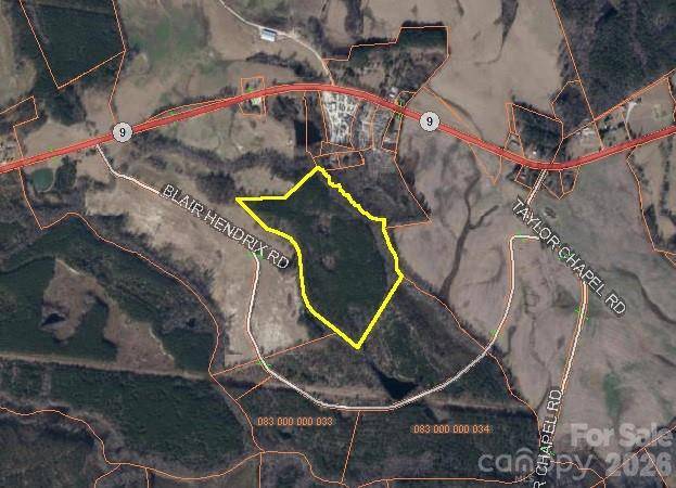 0000 Blair Hendrick RD, Mt Croghan, SC 29727