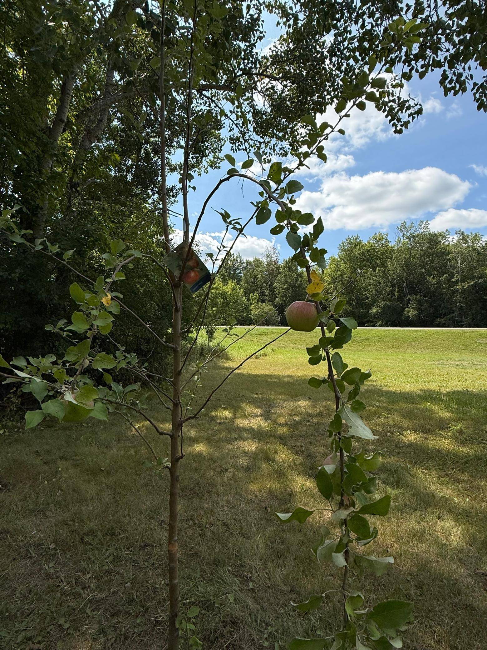 20366 County Road 12, Bovey, MN 55709