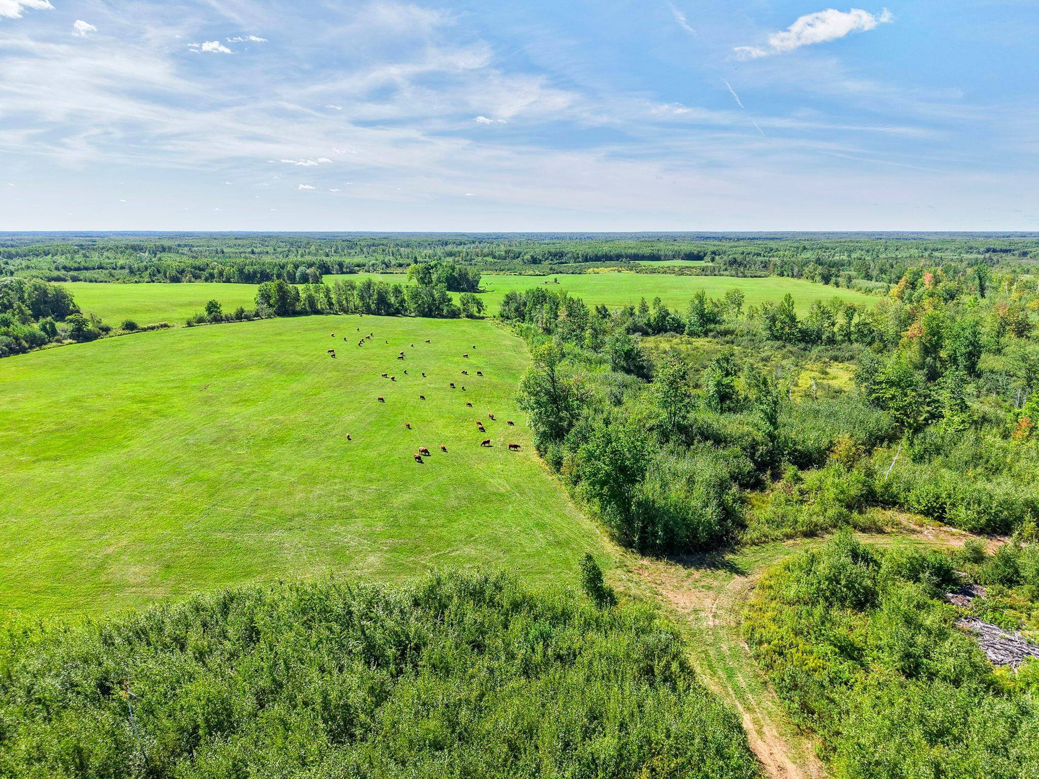 xxx Fleming Logging RD, Hinckley, MN 55037