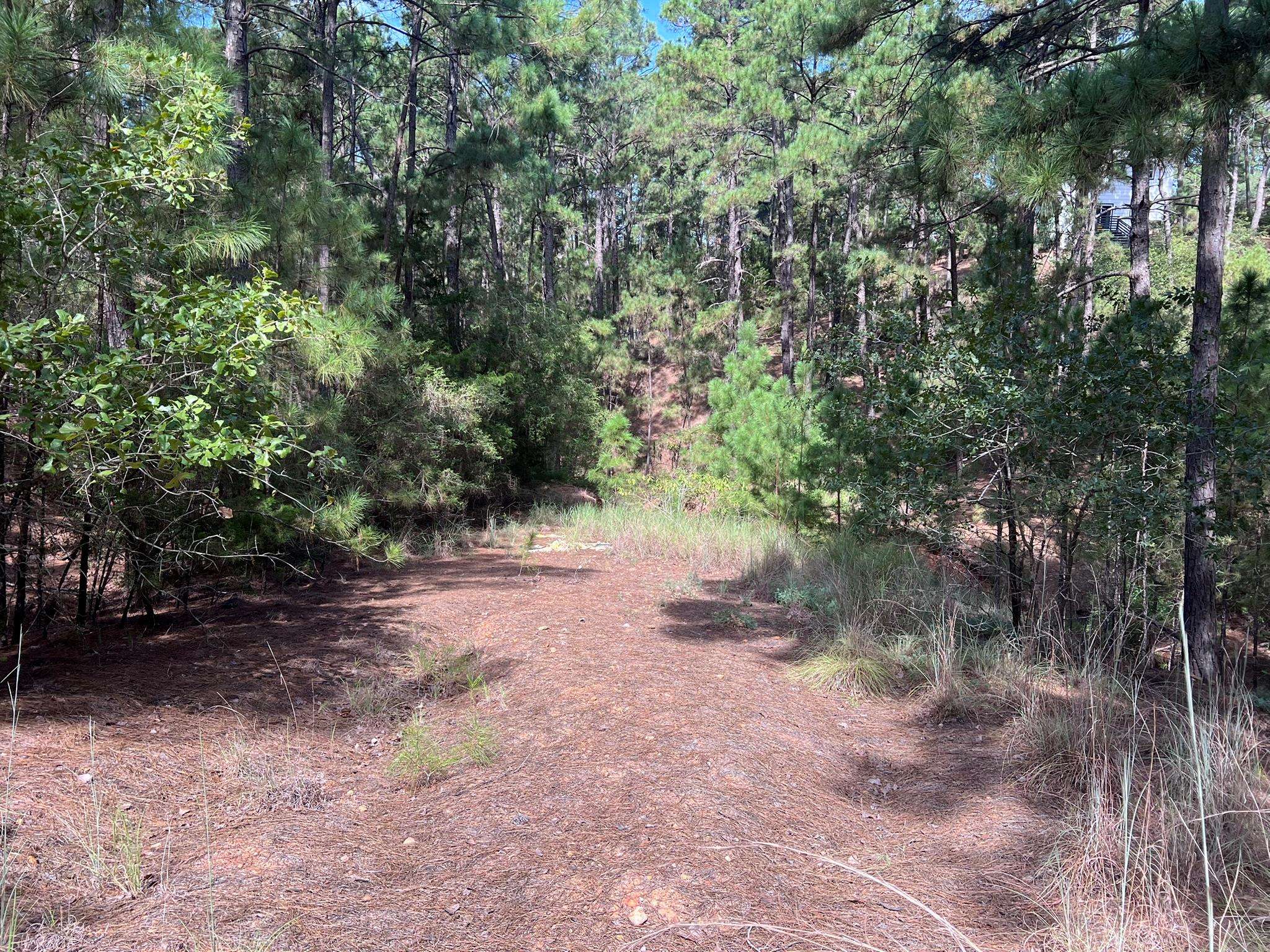 TBD Okoe CT W, Bastrop, TX 78602