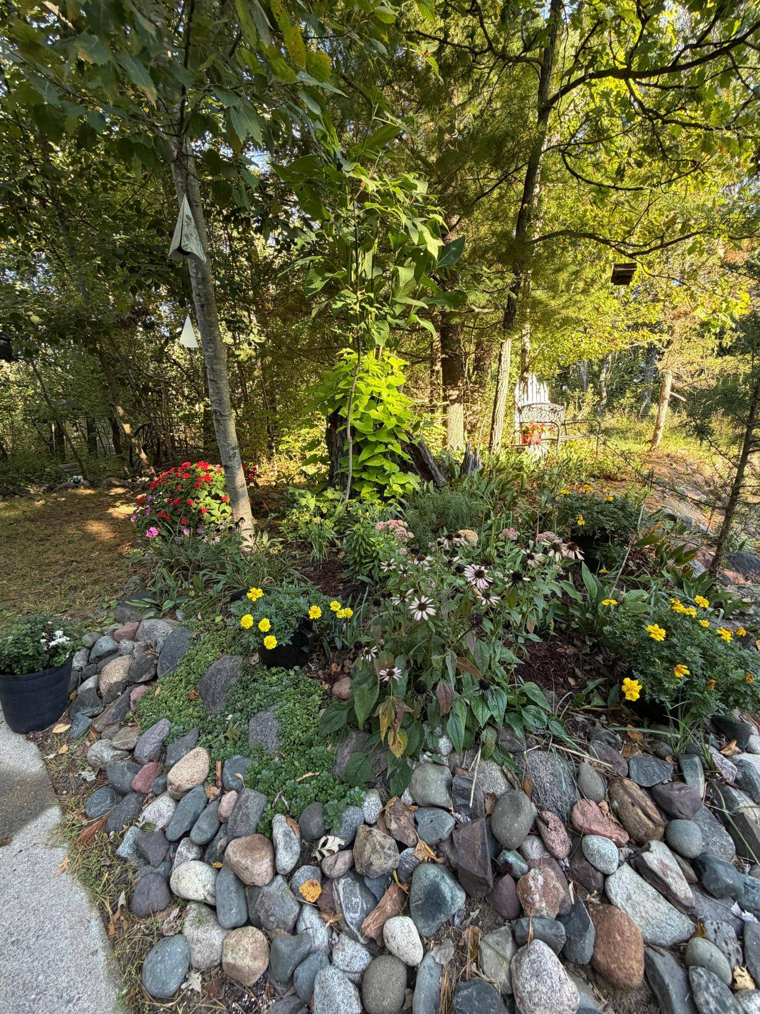 25020 140th ST NW, Zimmerman, MN 55398