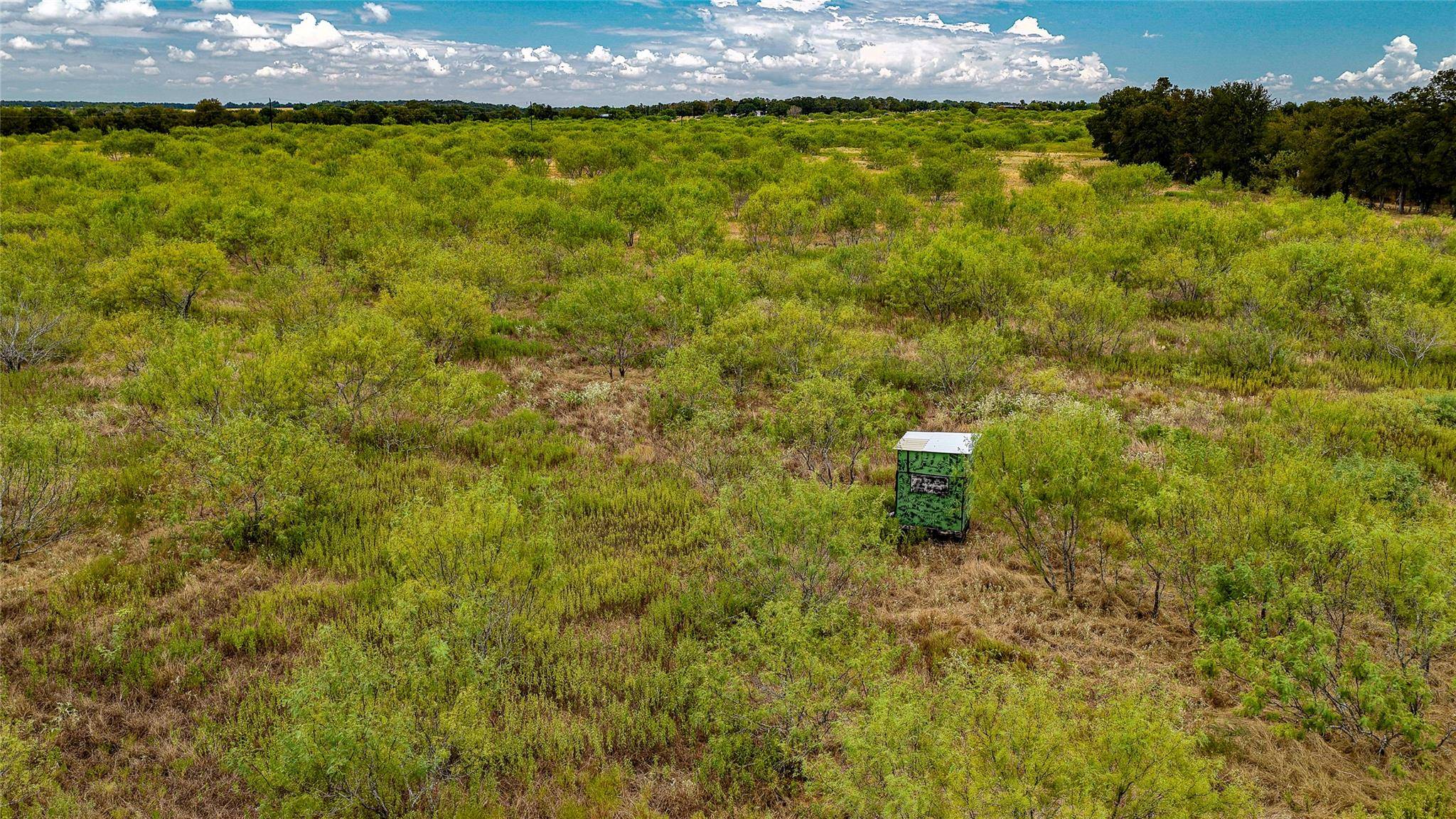 TBD County Road 414, Buckholts, TX 76518