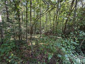 Lot 20 & 21 Zinzendorf LN #20 & 21, Moravian Falls, NC 28654