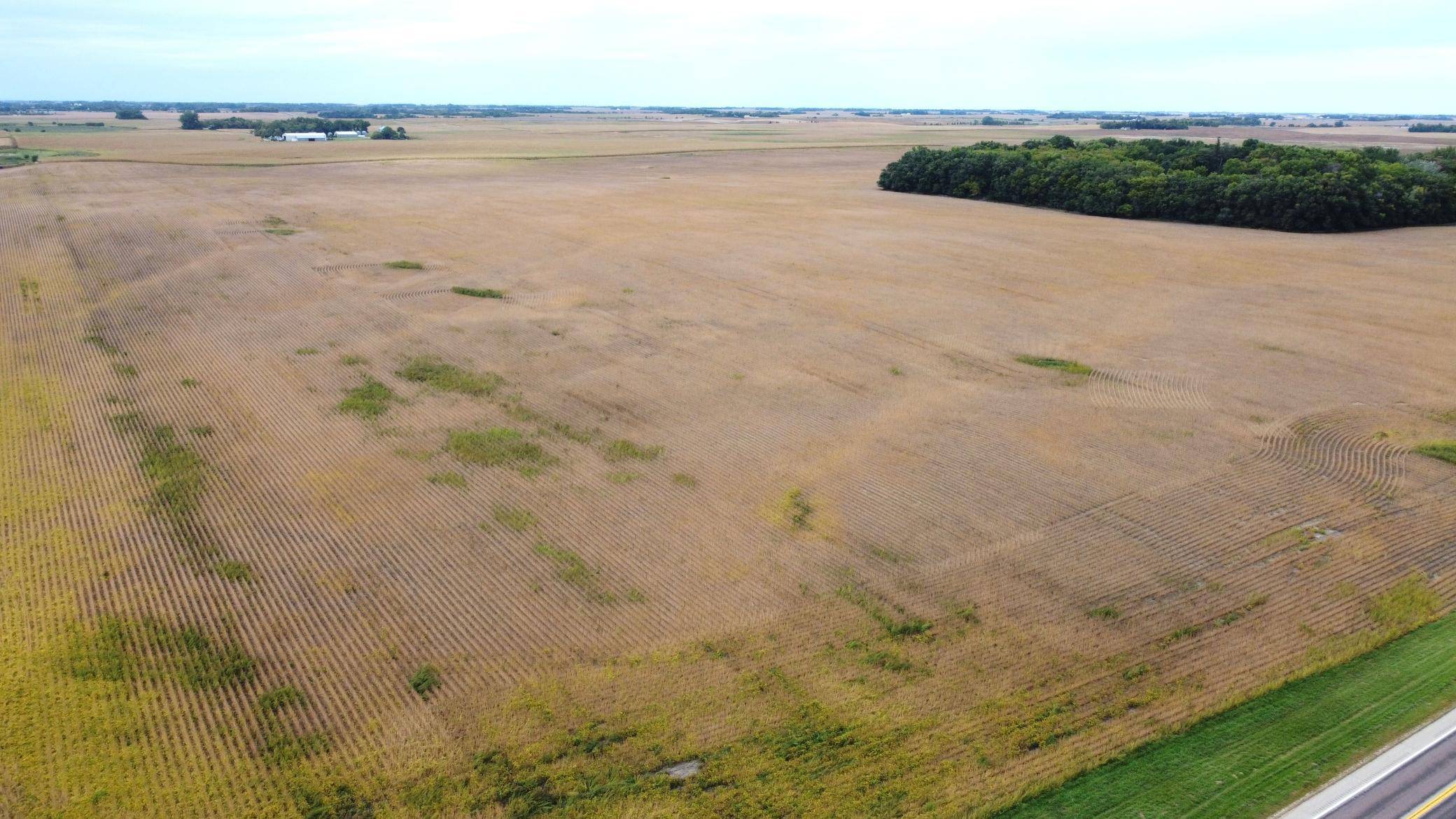 TBD Highway 59, Elbow Lake, MN 56531