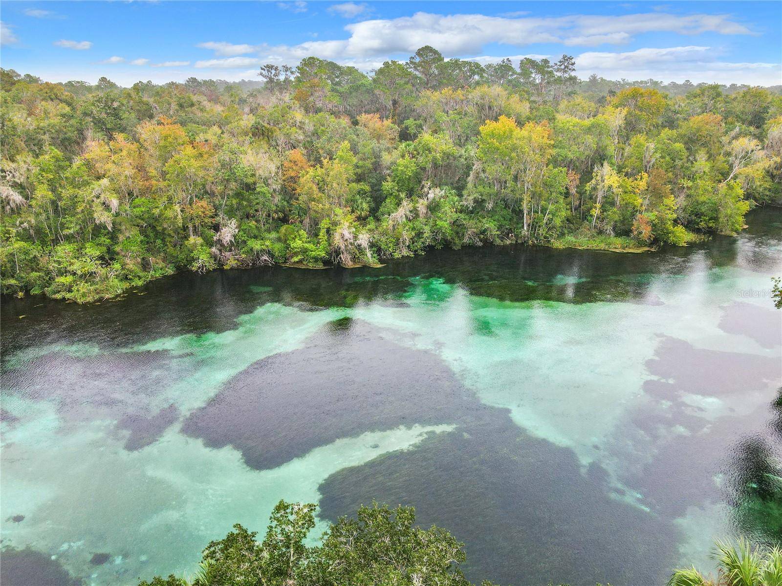 19666 SW 88TH LOOP, Dunnellon, FL 34432