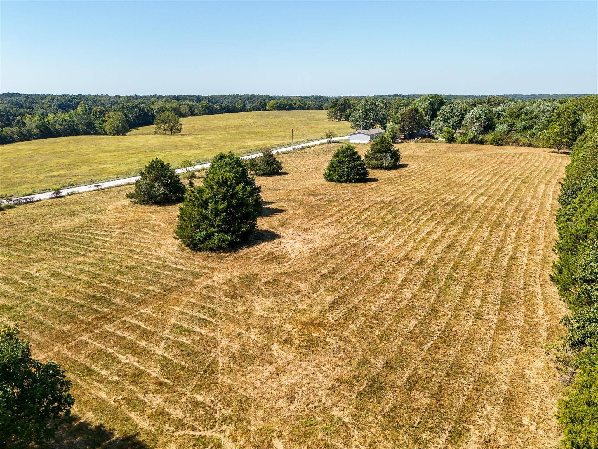 1191 Bobcat RD, Rogersville, MO 65742