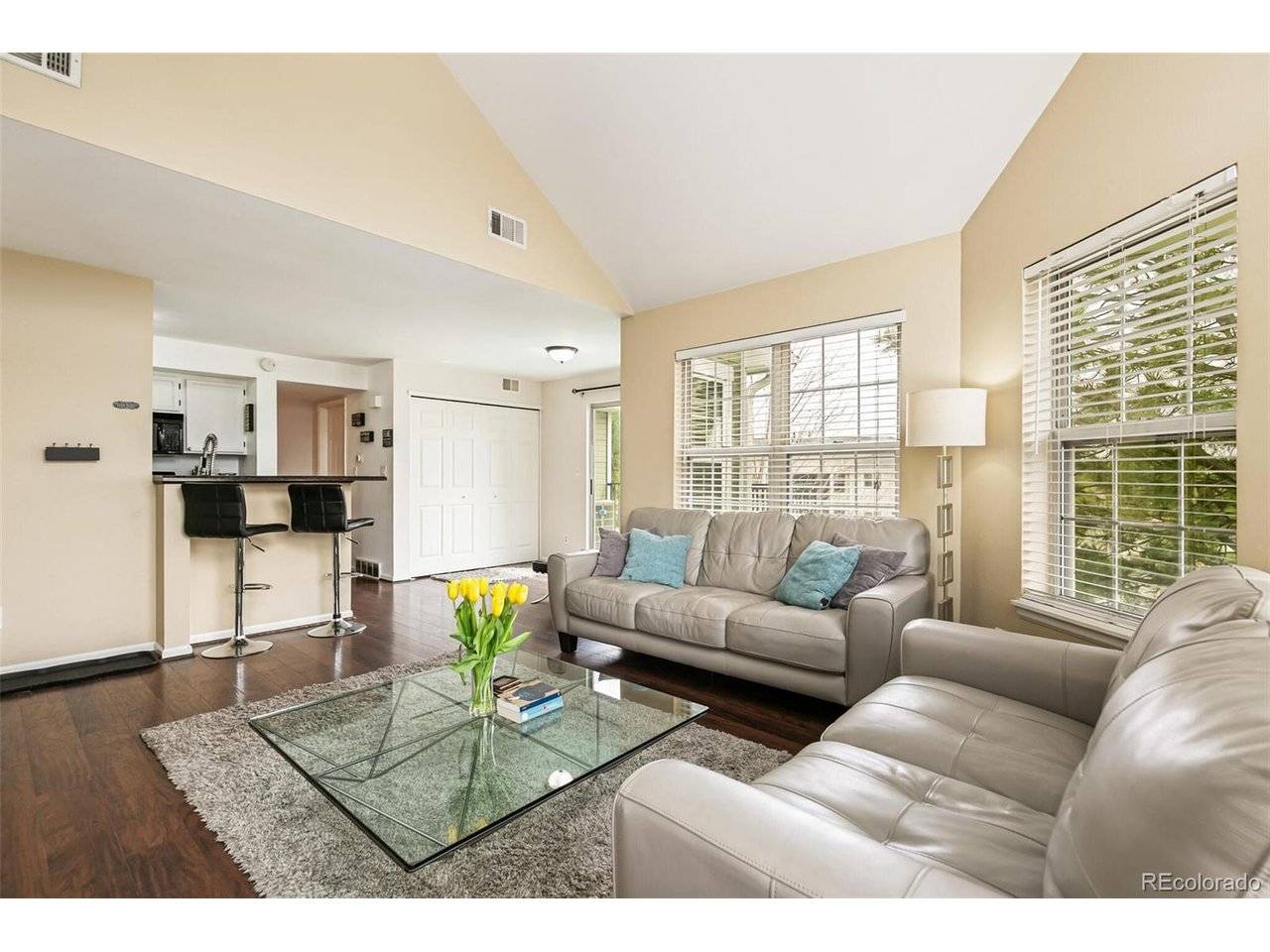 6776 S Ivy #C1, Centennial, CO 80112