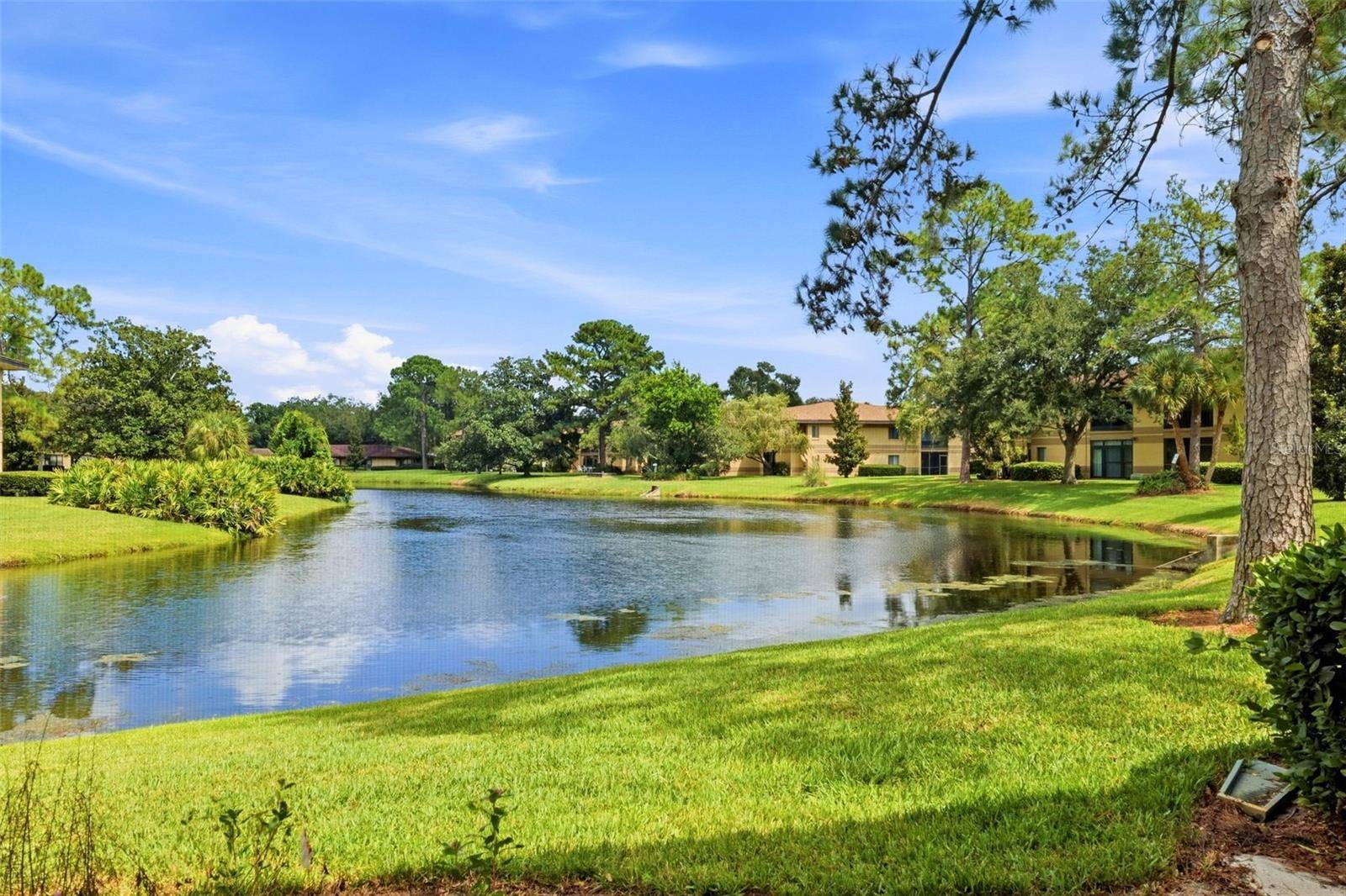 2687 SABAL SPRINGS CIR #104, Clearwater, FL 33761