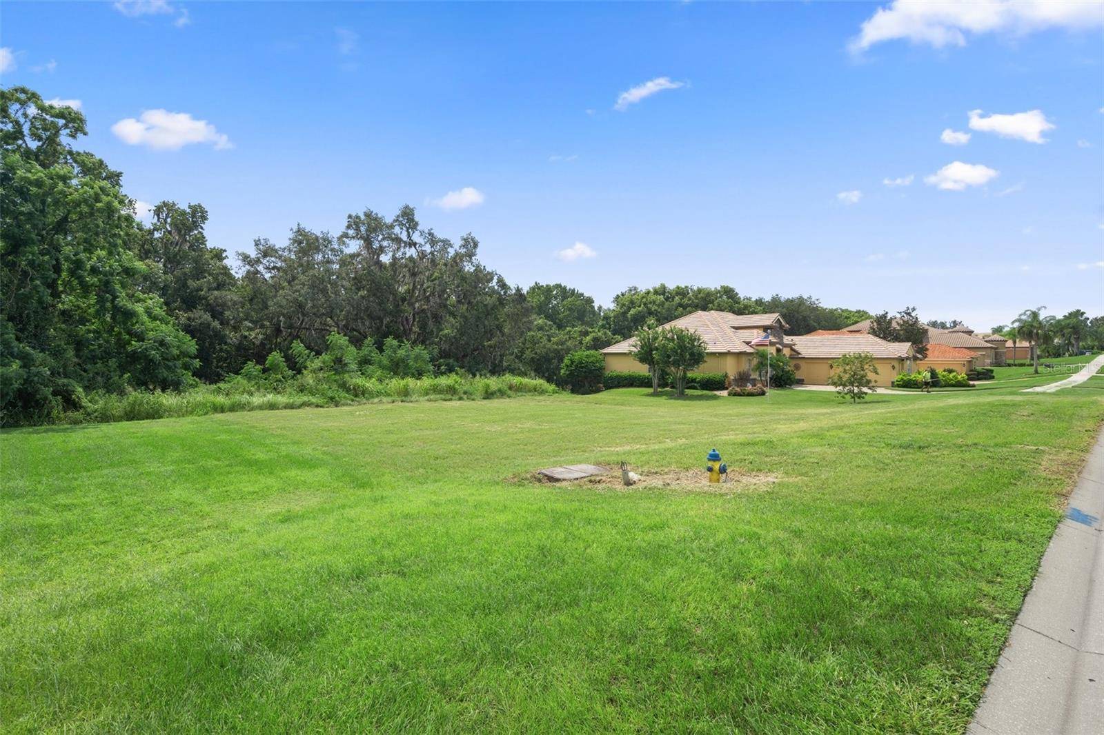 13208 TRADITION DR, Dade City, FL 33525