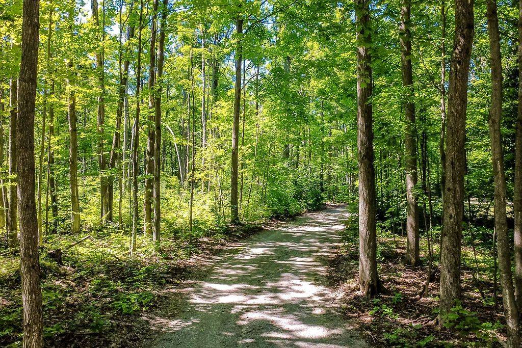 5222 6TH Line N, Oro-medonte, ON L0K 1E0