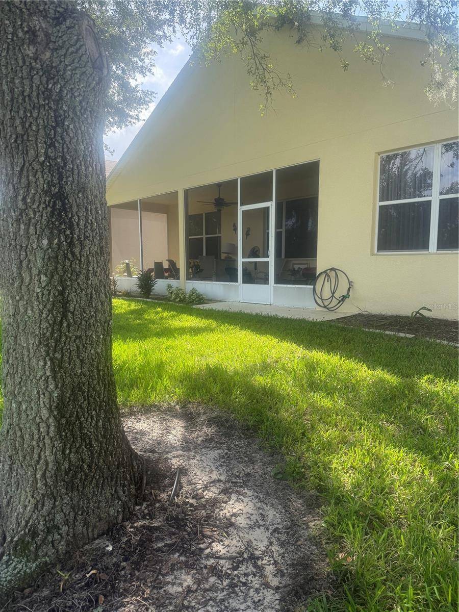 803 WOLF CREEK ST, Clermont, FL 34711