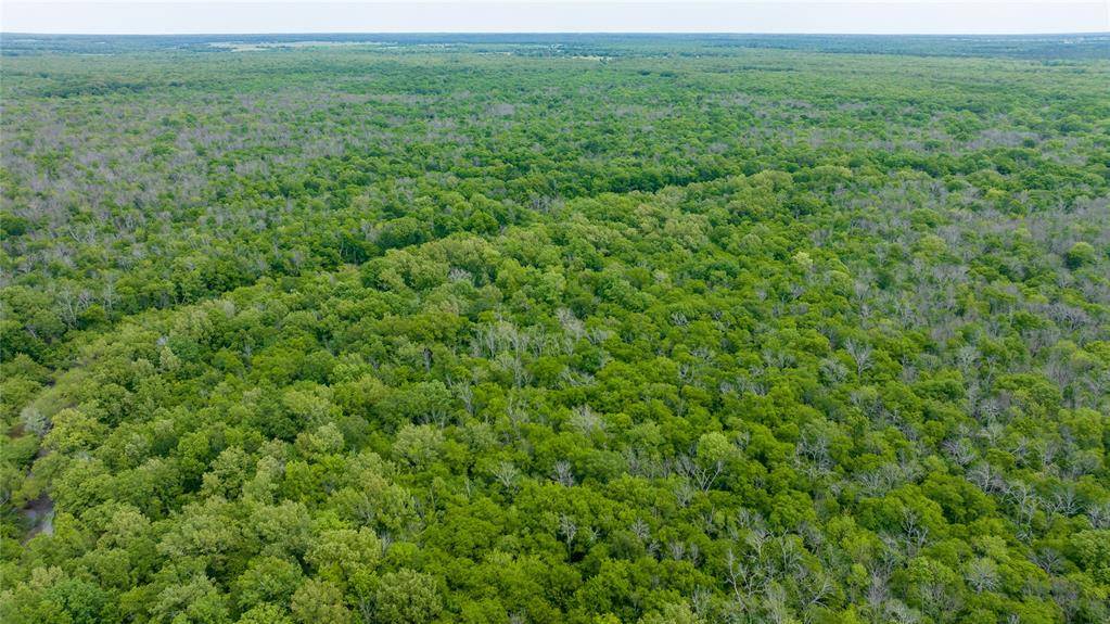 TBD CR 4630, Annona, TX 75550