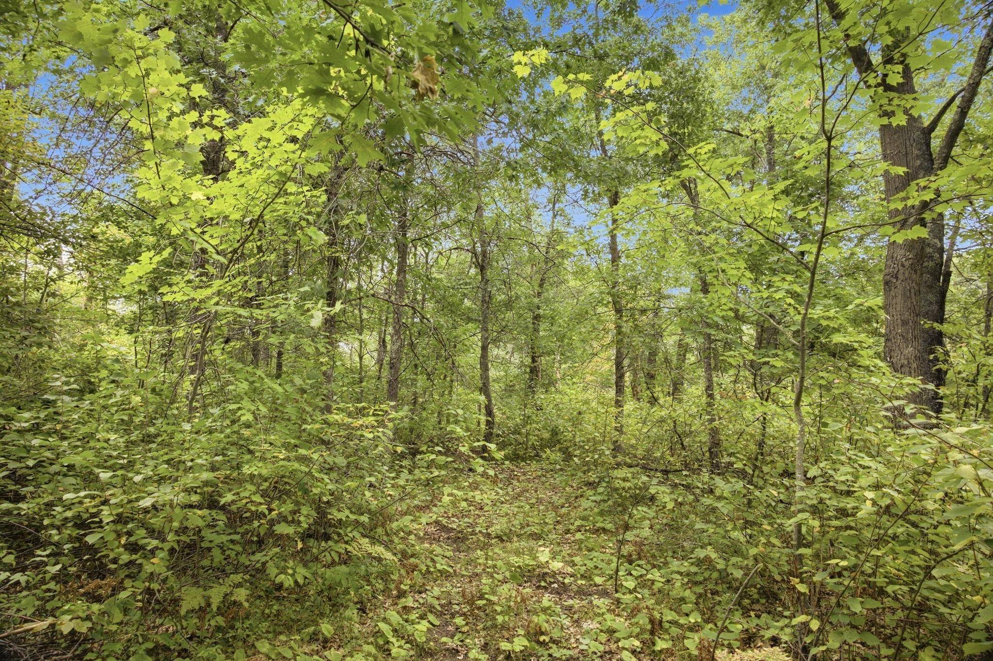Lot 2 Little McGraw Lake Rd, Danbury, WI 54830