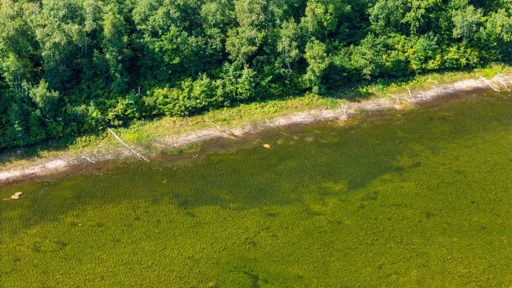 Lot 8 Park Preserve TRL NE, Bemidji, MN 56601