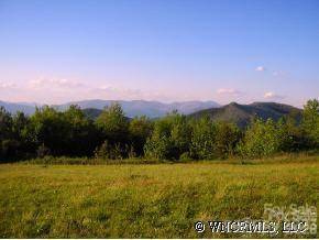 9999 Ebby Ridge DR #336, Fairview, NC 28730