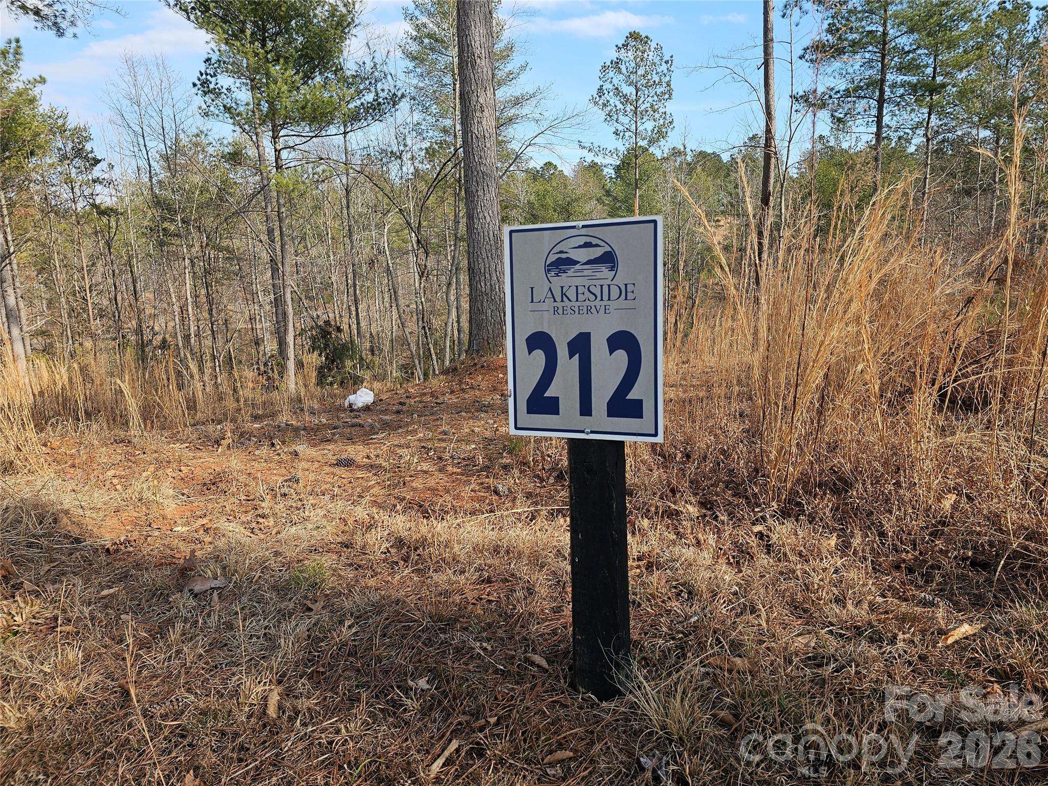 3318 Pyramid Peak TRL #212, Connelly Springs, NC 28612