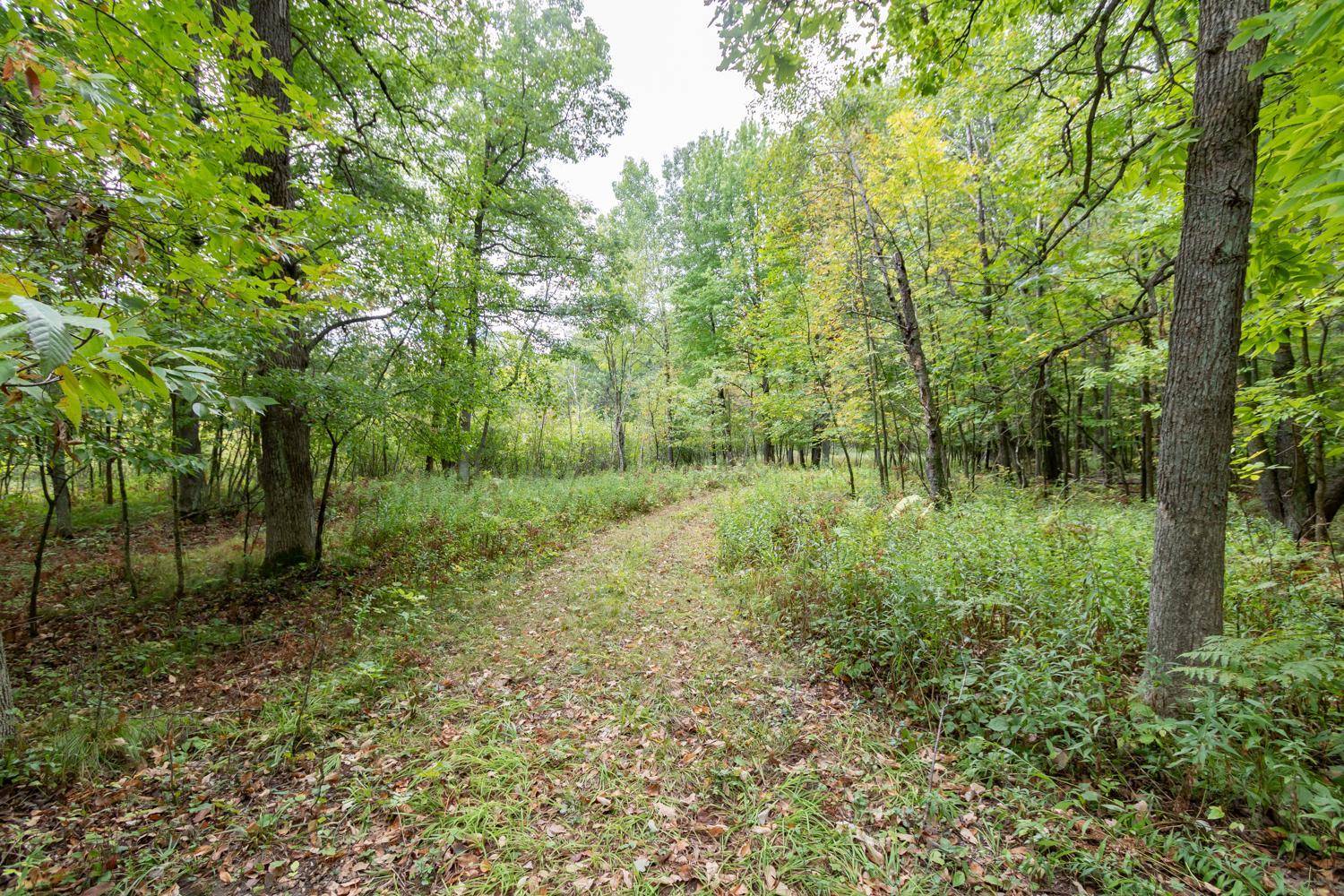 20 Acres 153rd AVE, Balsam Lake, WI 54810