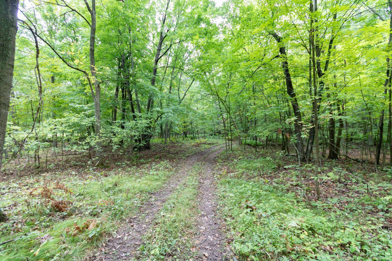 20 Acres 153rd AVE, Balsam Lake, WI 54810