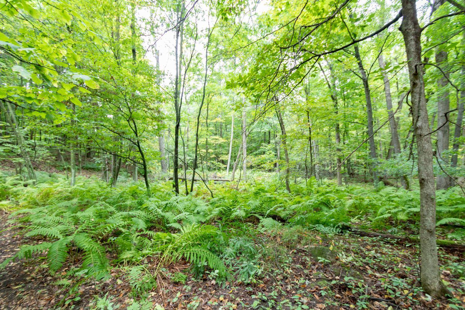 20 Acres 153rd AVE, Balsam Lake, WI 54810