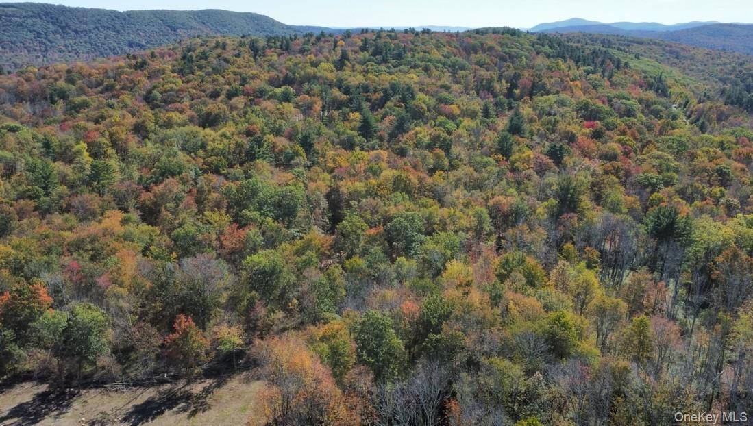 TBD West Hill RD, Austerlitz, NY 12017